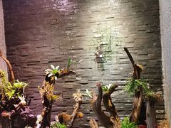 -泰适SPA馆丨精油·按摩·足道(后海地铁口店)