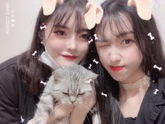 -Heymao猫咖.咖啡厅(东门店)