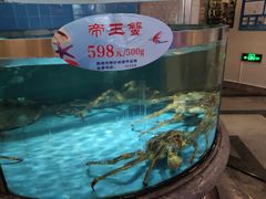 水产区-快乐海鲜酒楼(滇池路店)