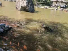 -刘伯温故里景区百丈漈