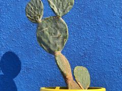 -漳州滨海火山岛自然生态风景区