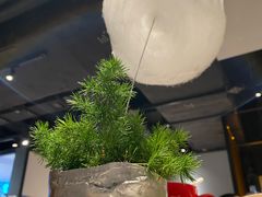 -小大董·烤鸭(观景餐厅·南京西路店)