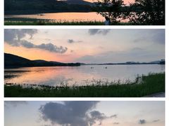 -长广溪湿地公园
