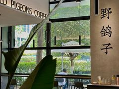 -野鸽子咖啡(中航店)