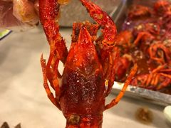 -簋街仔仔小龙虾(簋街二店)