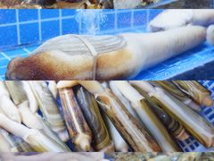 -鼎泰亨·海鲜牛肉餐厅(滨江店)