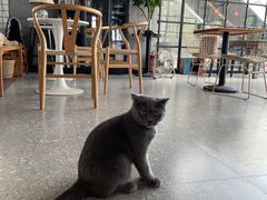 -NOTOOCAFE不二咖啡馆(岩前店)