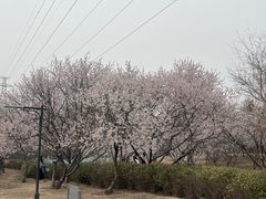 -太阳宫公园