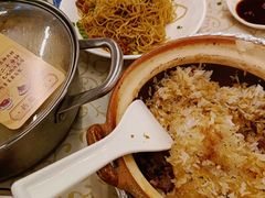 -百利鸽王(紫薇路店)