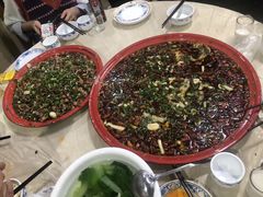 尖椒兔-东吴霸王兔(松青路店)