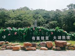 -巢湖姥山岛