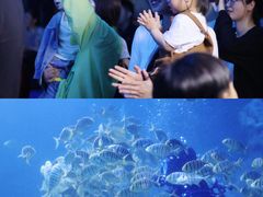 -左海海底世界