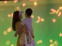 -华夏文旅海洋公园