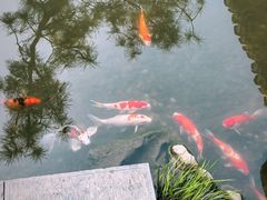 -水绘园