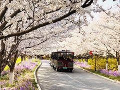 -古柏渡飞黄旅游区