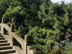 -上海醉白池公园