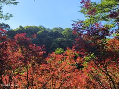 -广州市帽峰山景区
