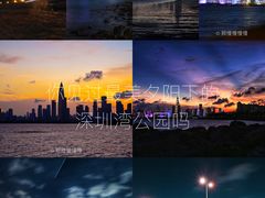 -深圳湾公园(南山区)