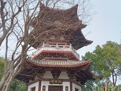 -武汉园博园(武汉自然博物馆)