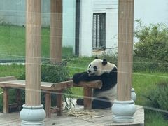 -无锡动物园·太湖欢乐园