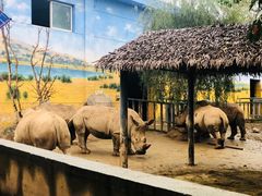 -西安秦岭野生动物园