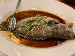 -上海安亭别墅花园酒店