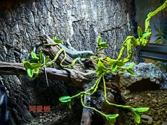 -西安曲江海洋极地公园
