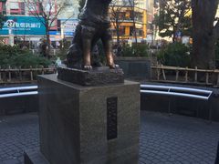 -涩谷区