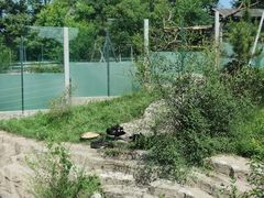 -刘公岛景区
