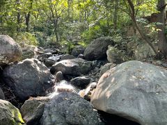 -云岫谷游猎自然风景区