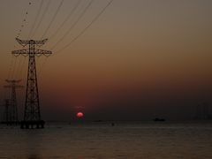 -宝安西湾红树林湿地公园