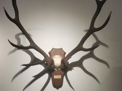 -中国紫檀博物馆