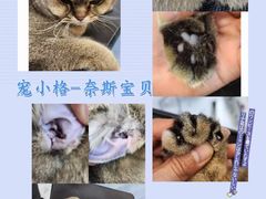 -宠小格时尚宠物生活馆(唐镇店)