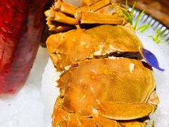陈年花雕醉蟹-梅花境(万科店)