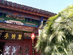 -MAP CHA普洱茶馆(翠湖店)