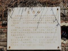 -成桂西餐厅(河北路店)