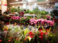 iphone_upload_pic-双季花艺园艺市场(浦东店)