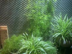 -川旺角川粤融合菜•海景餐厅(星海广场店)