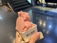 -野人牧坊Gelato(天津南开大悦城店)