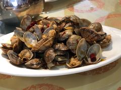 辣炒蚬子-添福来墨鱼饺子 · 海鲜东北菜(大连星海·黄浦路店)