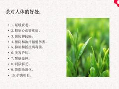 -华祥苑茶馆•国缤茶小蓝罐(普罗旺斯店)