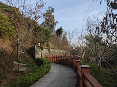 -小南山公园