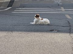 -湖南雨花非遗馆