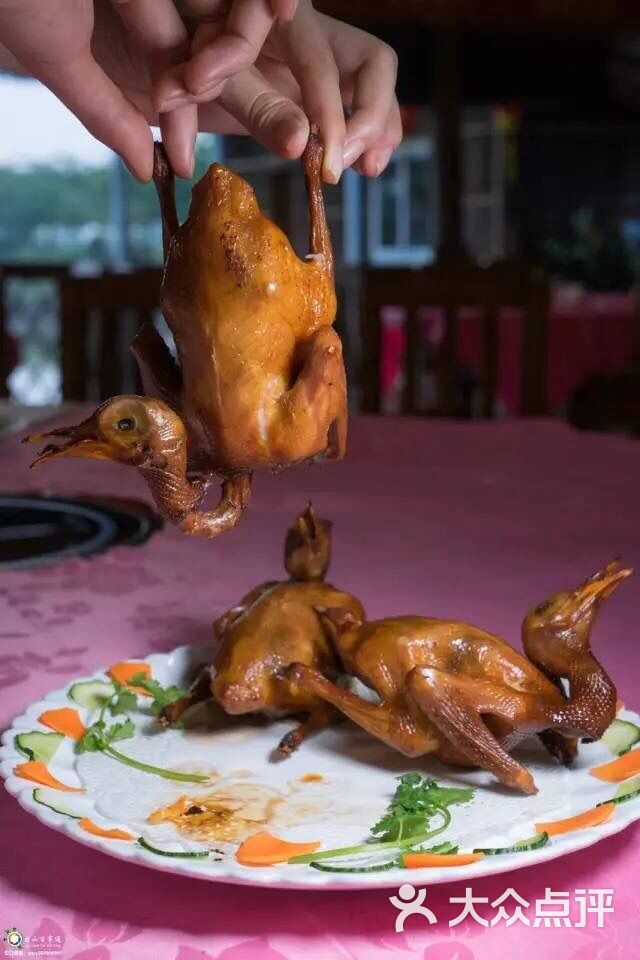 顺德鸽香楼农庄-图片-台山市美食-大众点评网