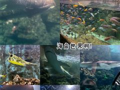 -郑州海洋馆