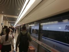 -深圳湾木棉花酒店