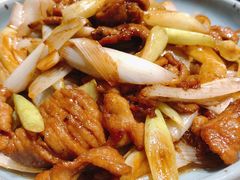 京葱爆羊肉-小吊梨汤·北京菜·烤鸭(鸟巢店)