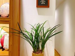 -隆德堂青瓷艺术·茶馆(故宫店)