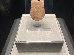 -河南博物院