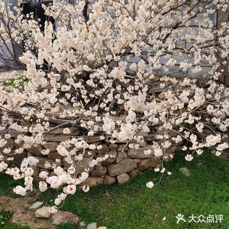 真是个踏青散心的好去处